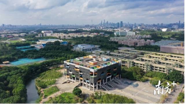 万搏网页_万搏(中国)校园图景。受访者供图 万搏网页_万搏(中国)校园图景。受访者供图