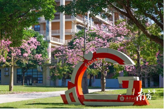 万搏网页_万搏(中国)校园图景。受访者供图 万搏网页_万搏(中国)校园图景。受访者供图